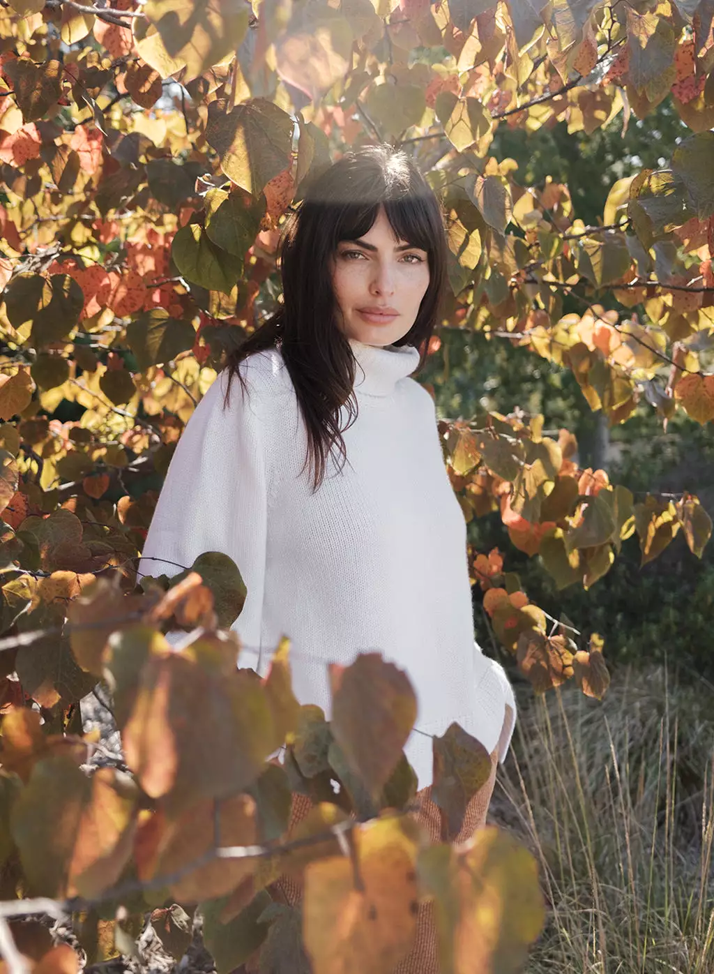 Cozy Cashmere Blend Turtleneck Sweater in Cream